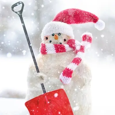 Winterwille Winterwille