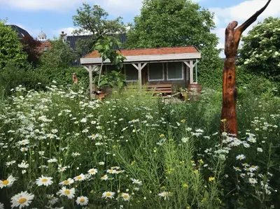 Griene Tsjerkejûn Akkrum Griene Tsjerkejûn Akkrum