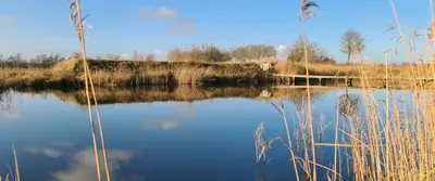 Senior Café: Lezing door duizendpoot Karst Berkenbosch Senior Café: Lezing door duizendpoot Karst Berkenbosch